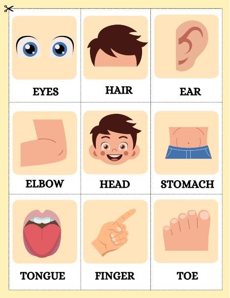 Body parts cutting and matching cards